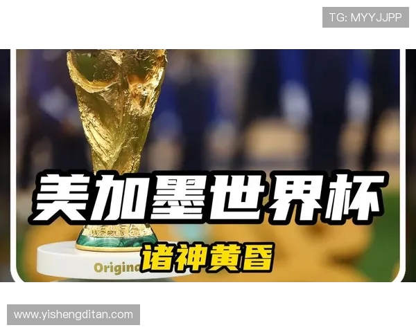 美加墨世界杯官方用球的球面涂层耐磨性测